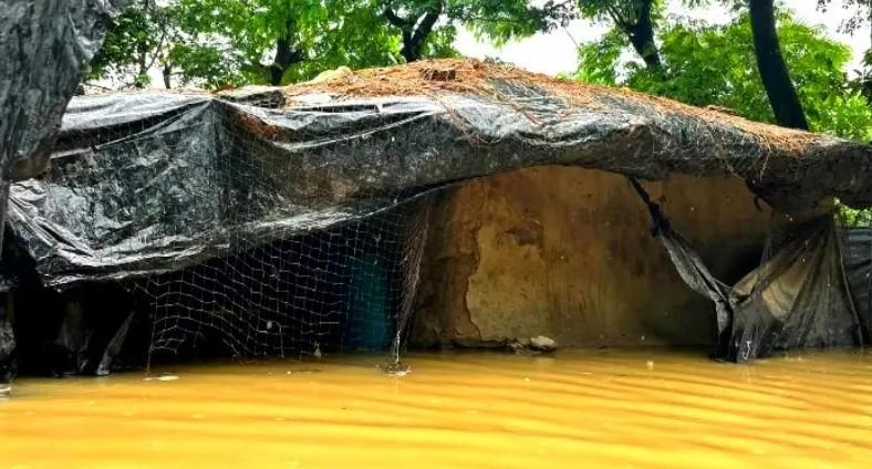 বন্যার মধ্যে সাপের কামড়ে ৭৫ জন আহত